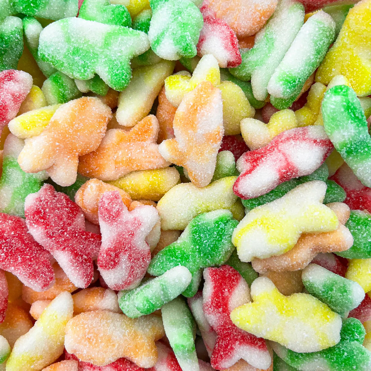 Dulceplus gezuckerte Twist Fische Halal Fruchtgummis 1 kg