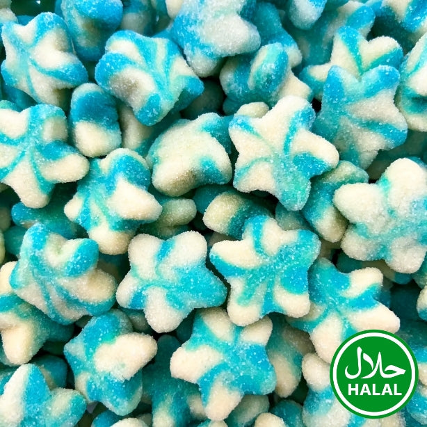 Blue Twist Stars Halal