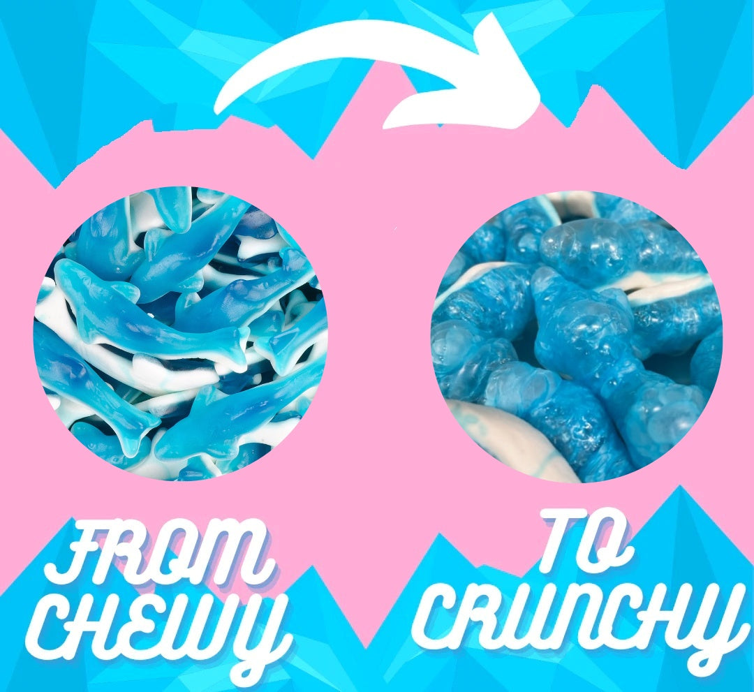 Gefriergetrocknete Süßigkeiten Haie | Freeze Dried Candy