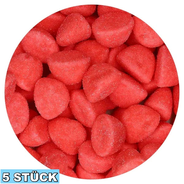 Primavera Erdbeeren (5x)